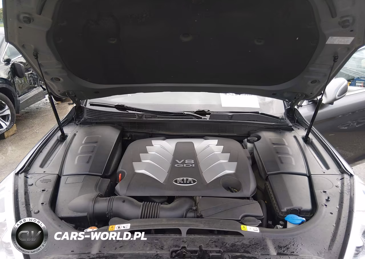 2015 Kia K900 Luxury VIN:KNALW4D46F6019879 - 10