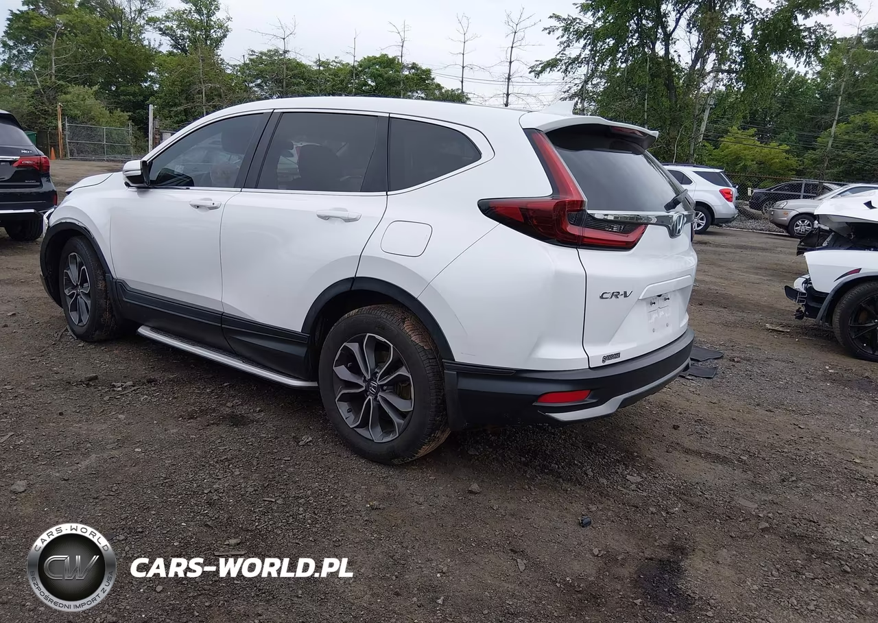 2020 Honda Cr-V 2Wd Ex VIN:5J6RW1H52LL001739 - 3