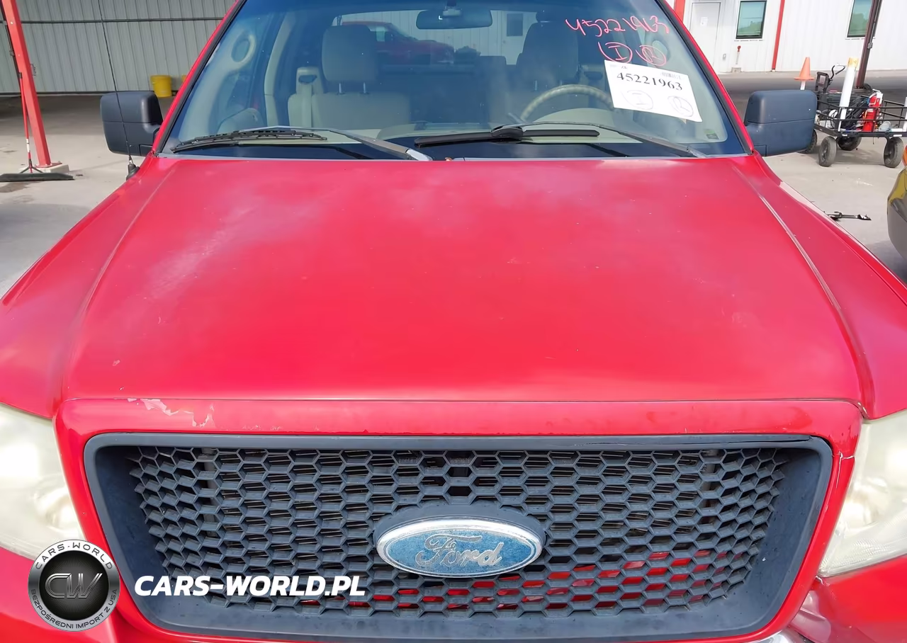 2006 Ford F-150 Stx-Xl-Xlt VIN:1FTRX12W86NA81853 - 10