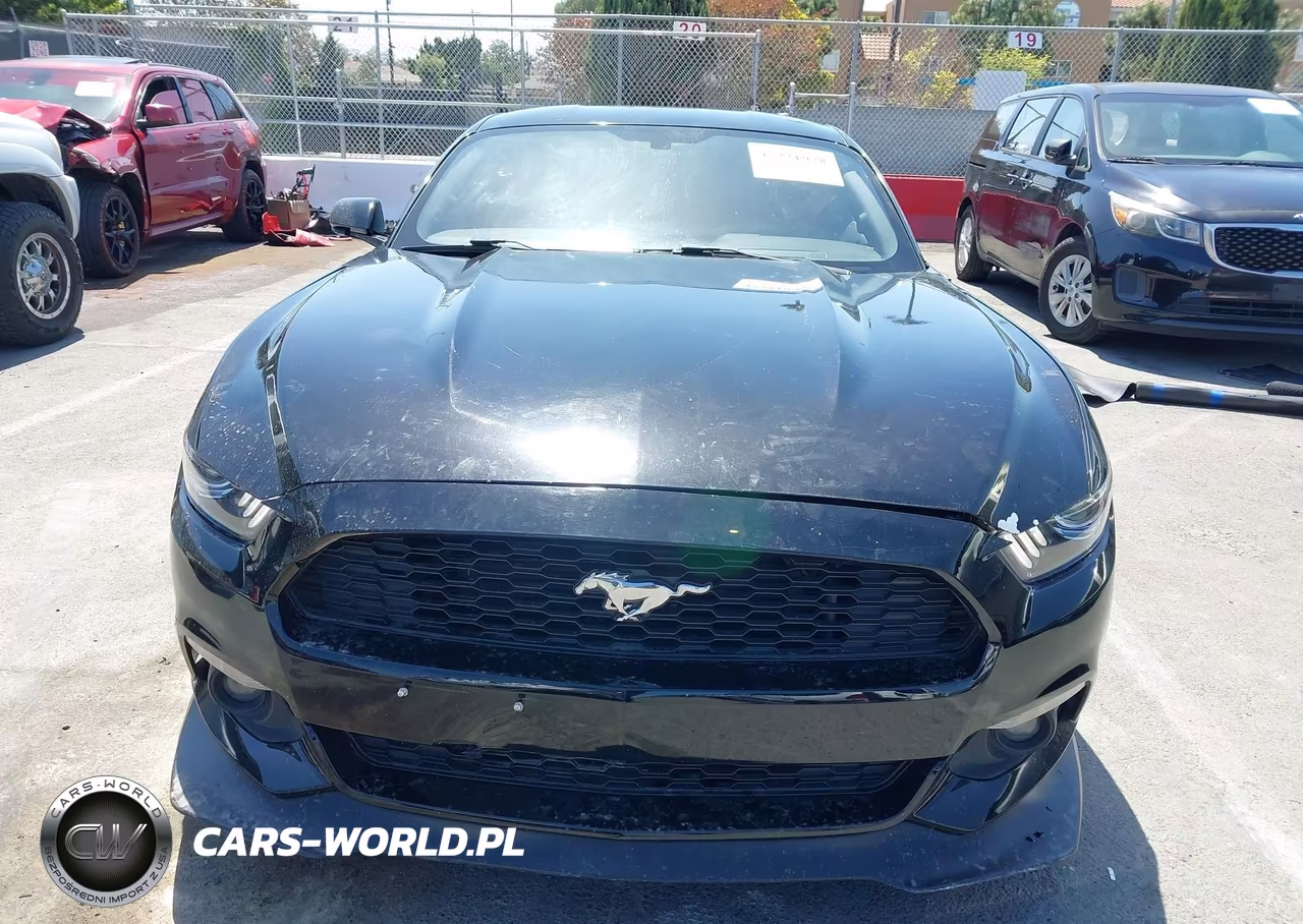 2015 Ford Mustang Ecoboost VIN:1FA6P8TH4F5351744 - 12