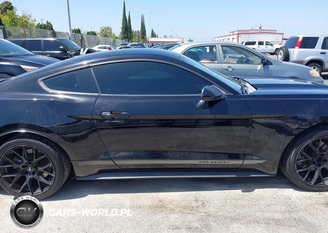 2015 Ford Mustang Ecoboost VIN:1FA6P8TH4F5351744 - 13