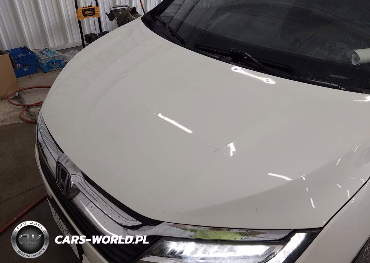 2019 Honda Odyssey Elite VIN:5FNRL6H93KB096165 - 6