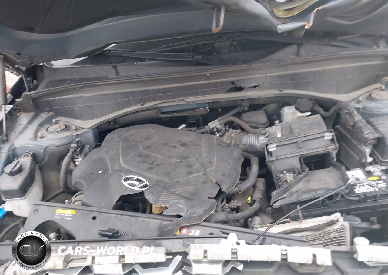 2020 Hyundai Palisade Sel VIN:KM8R44HE2LU066691 - 10