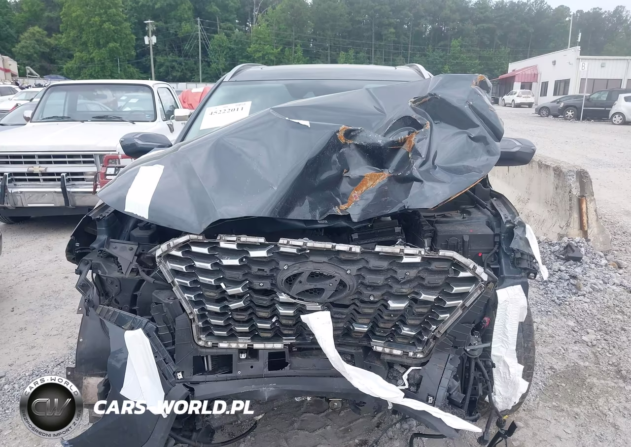 2020 Hyundai Palisade Sel VIN:KM8R44HE2LU066691 - 12