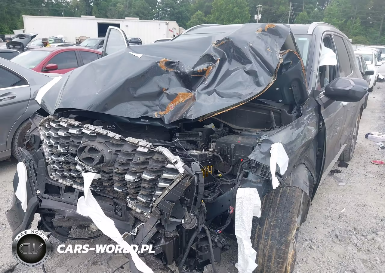 2020 Hyundai Palisade Sel VIN:KM8R44HE2LU066691 - 6