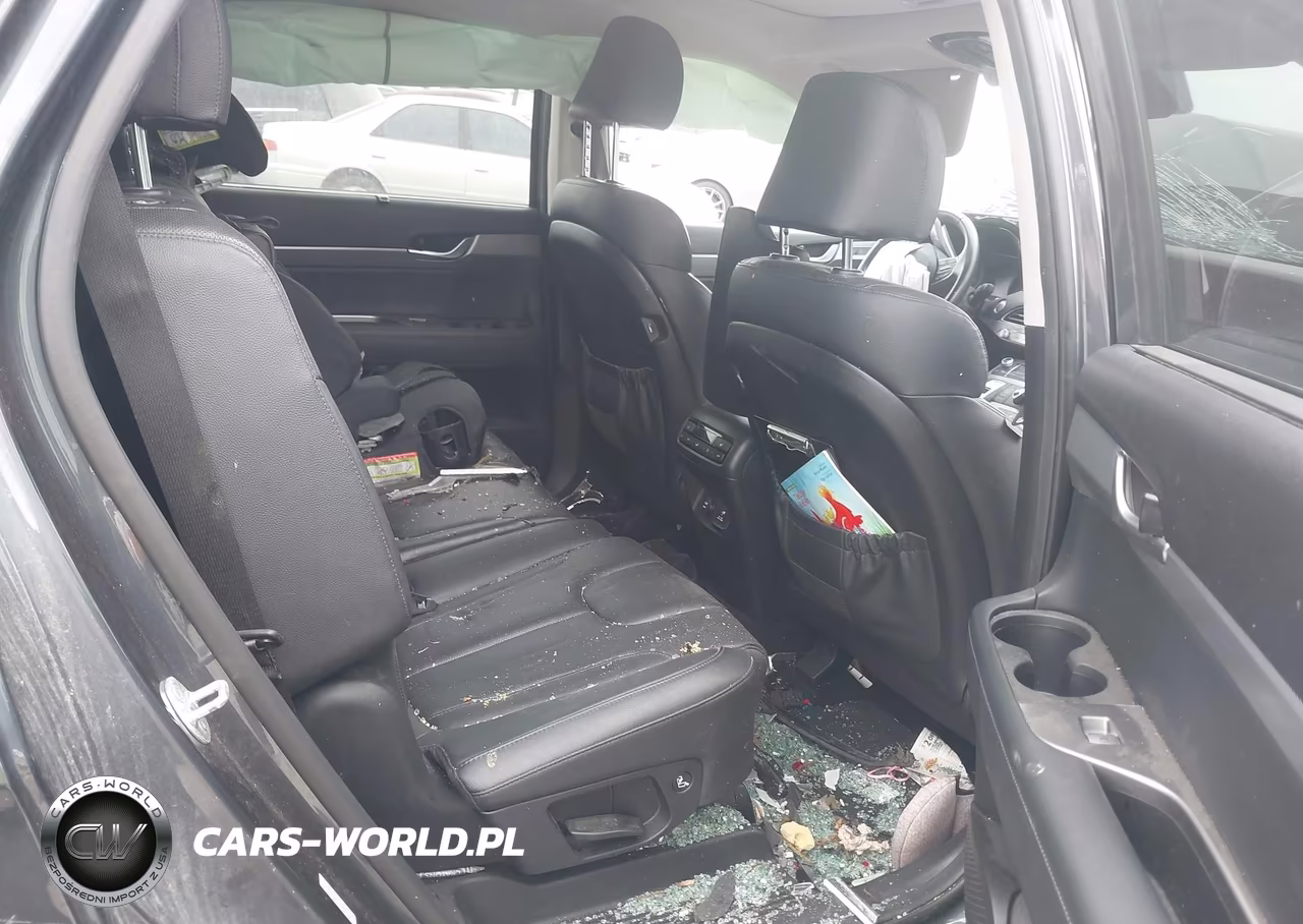 2020 Hyundai Palisade Sel VIN:KM8R44HE2LU066691 - 8