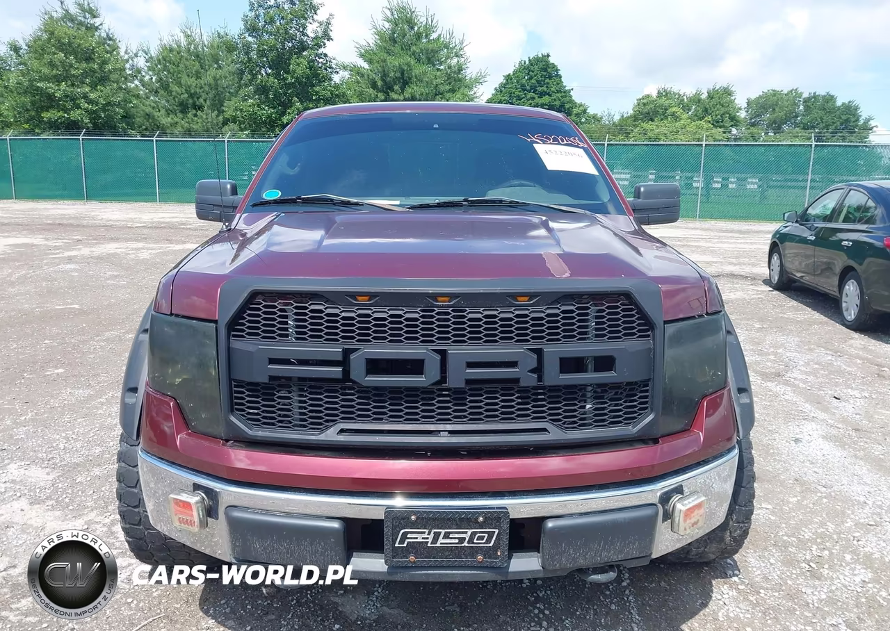 2010 Ford F-150 Xlt VIN:1FTEW1E89AFC69878 - 12