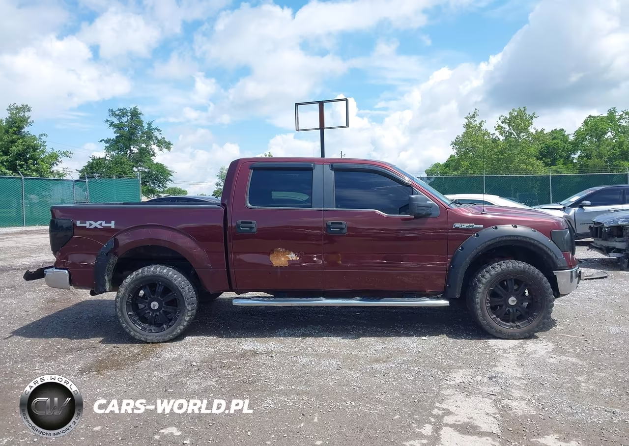2010 Ford F-150 Xlt VIN:1FTEW1E89AFC69878 - 13