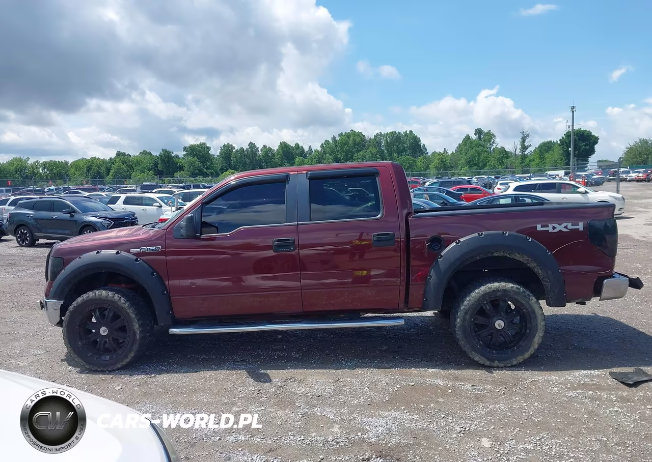 2010 Ford F-150 Xlt VIN:1FTEW1E89AFC69878 - 14