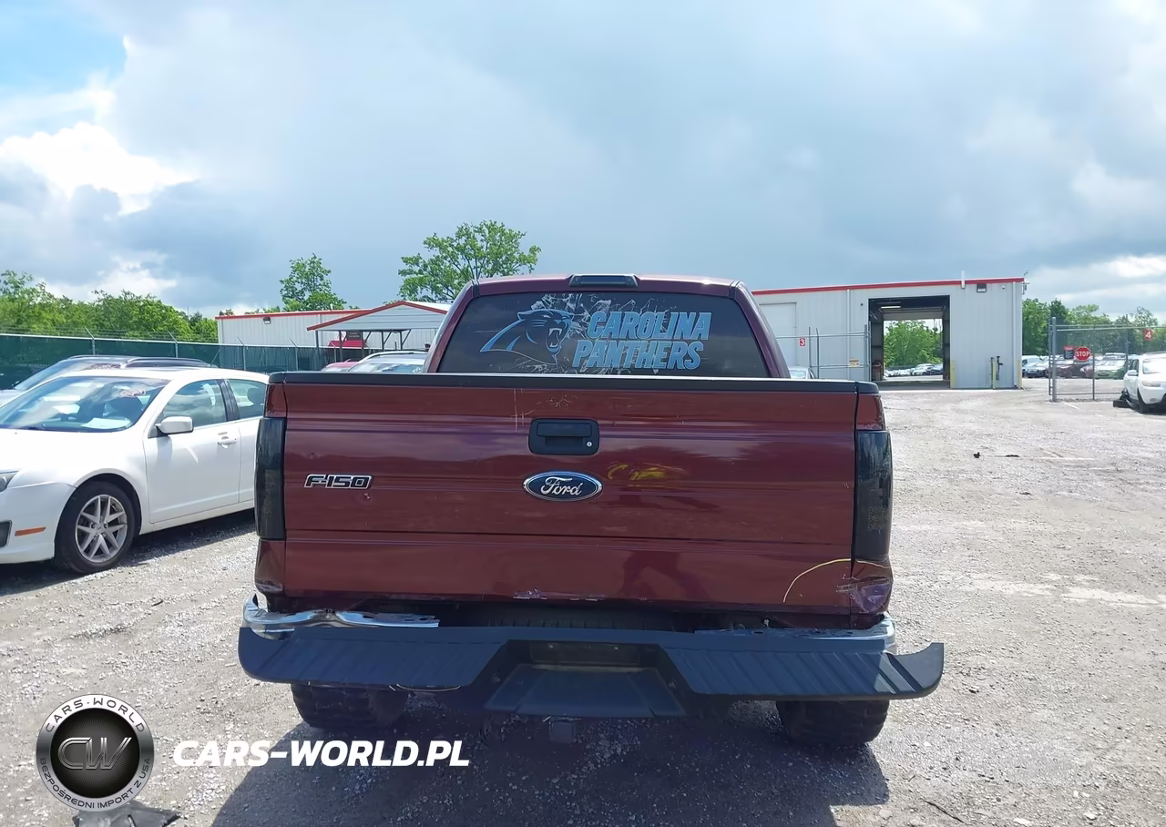 2010 Ford F-150 Xlt VIN:1FTEW1E89AFC69878 - 16