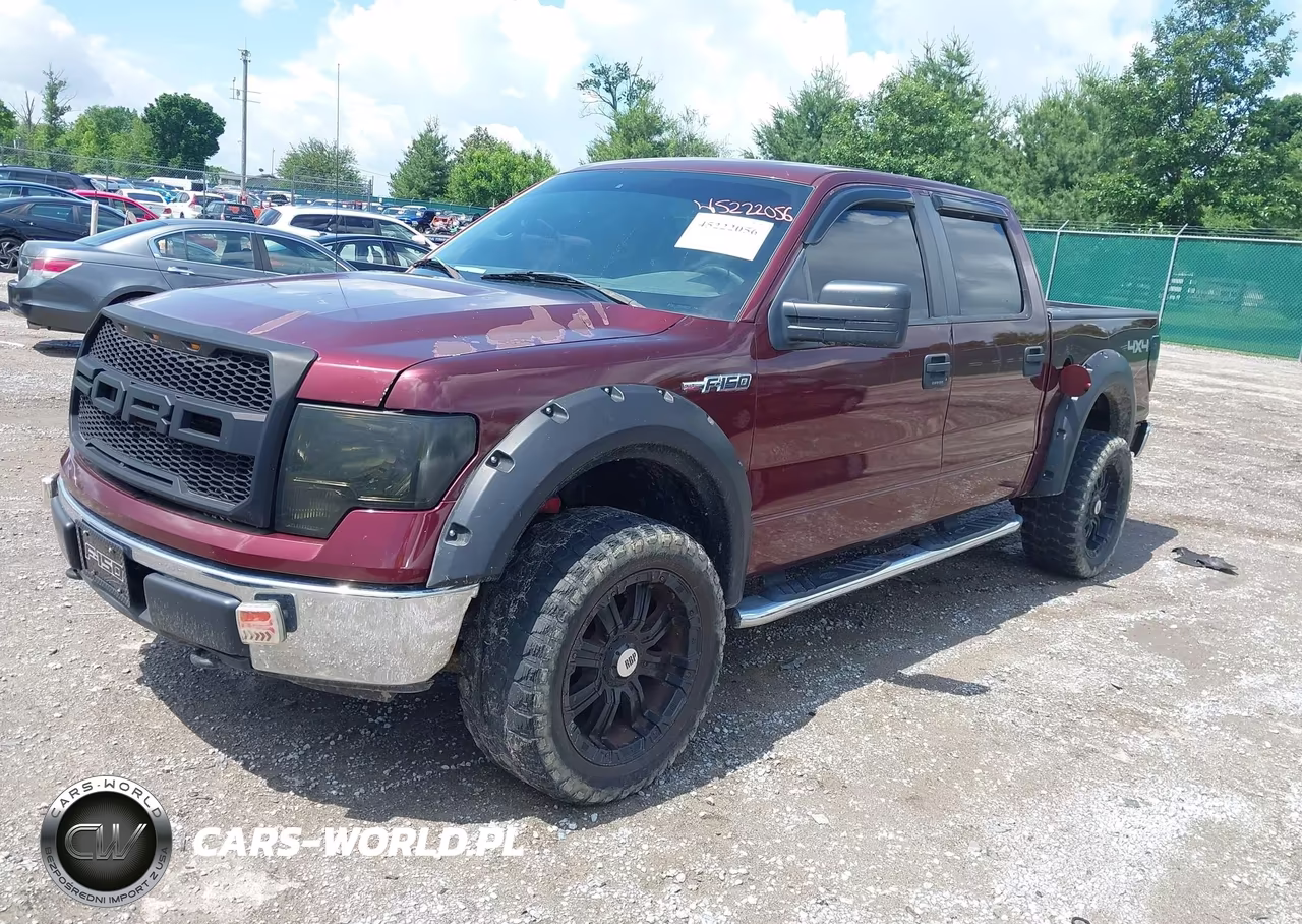 2010 Ford F-150 Xlt VIN:1FTEW1E89AFC69878 - 2