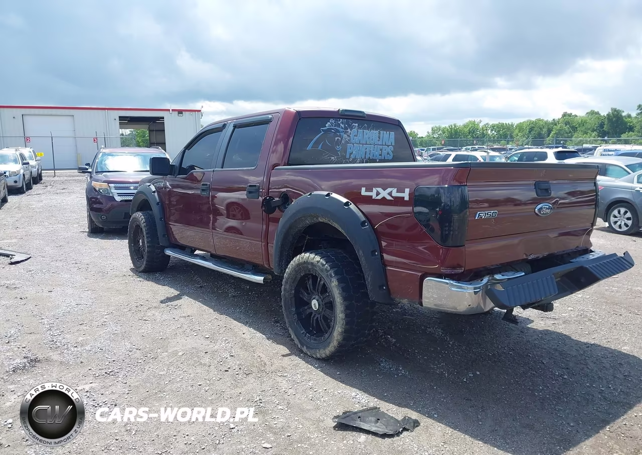 2010 Ford F-150 Xlt VIN:1FTEW1E89AFC69878 - 3