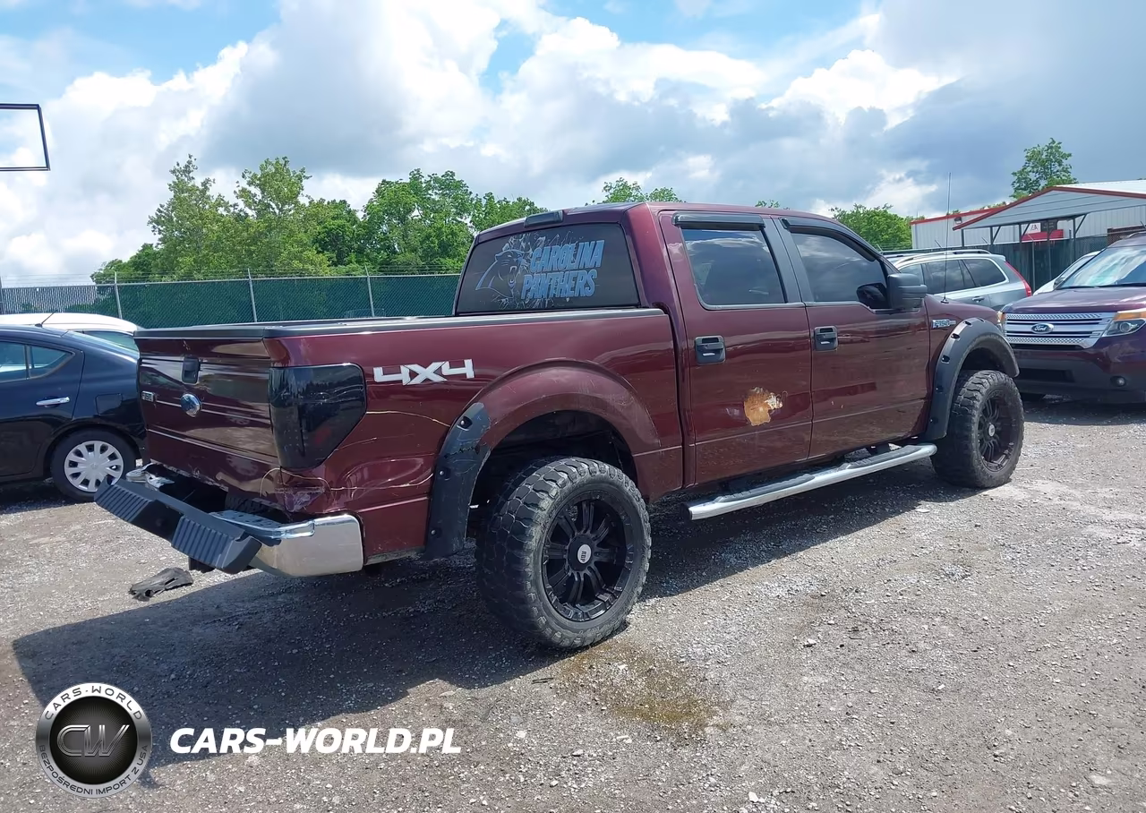 2010 Ford F-150 Xlt VIN:1FTEW1E89AFC69878 - 4