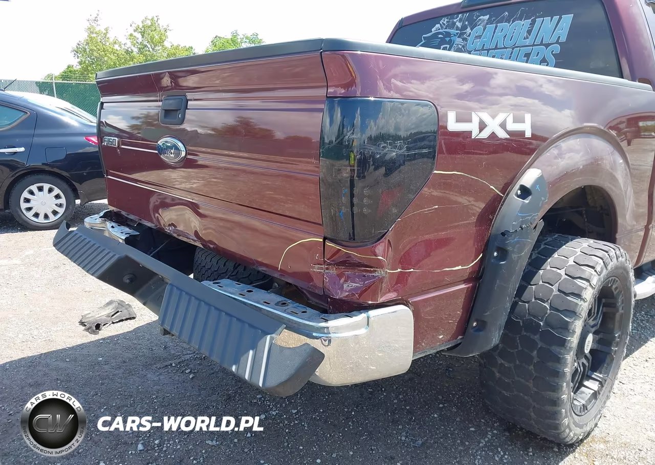 2010 Ford F-150 Xlt VIN:1FTEW1E89AFC69878 - 6