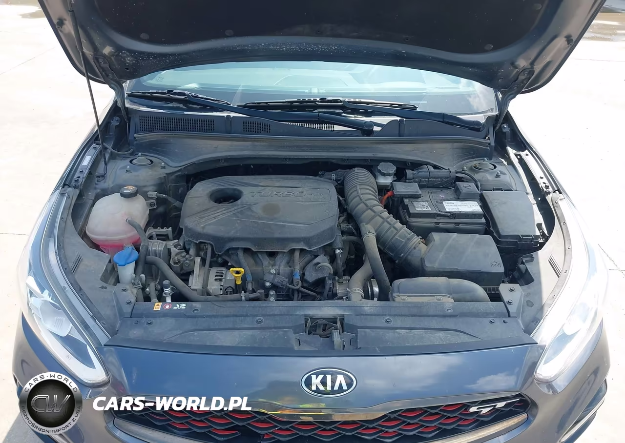 2021 Kia Forte Gt VIN:3KPF44AC7ME376528 - 10