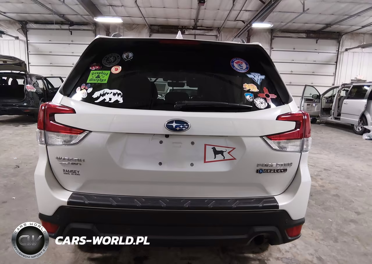 2020 Subaru Forester Limited VIN:JF2SKAUC6LH449784 - 17