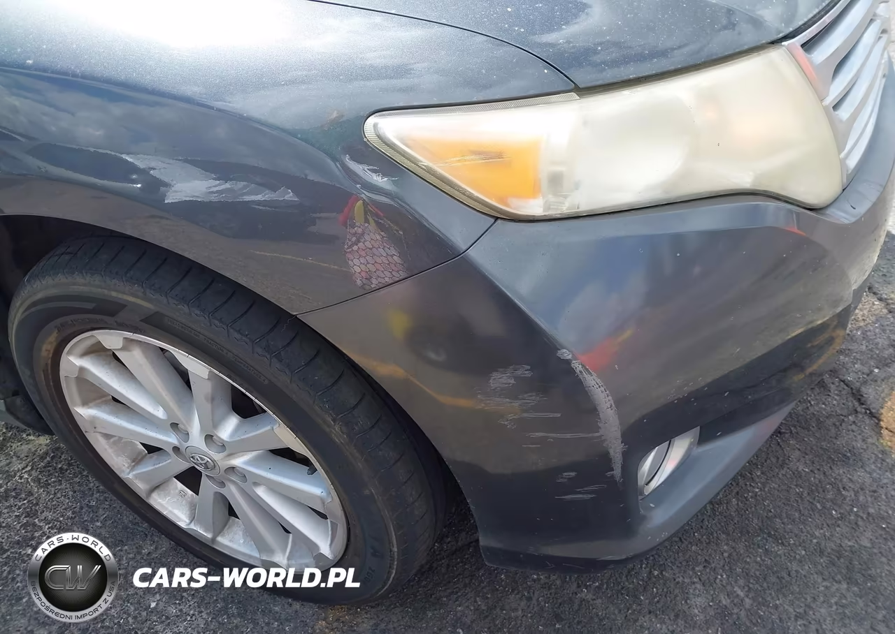 2009 Toyota Venza VIN:4T3ZE11A89U002349 - 17