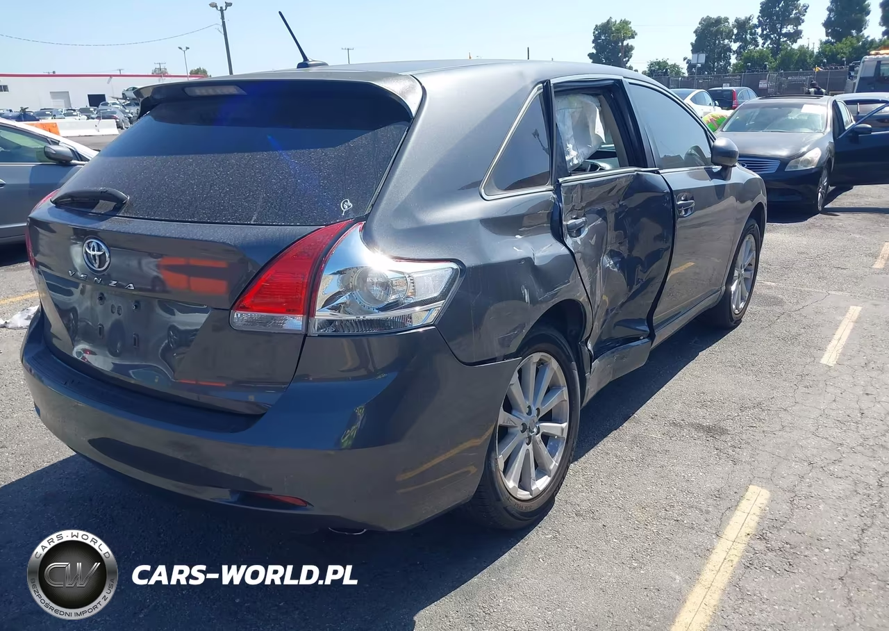 2009 Toyota Venza VIN:4T3ZE11A89U002349 - 4