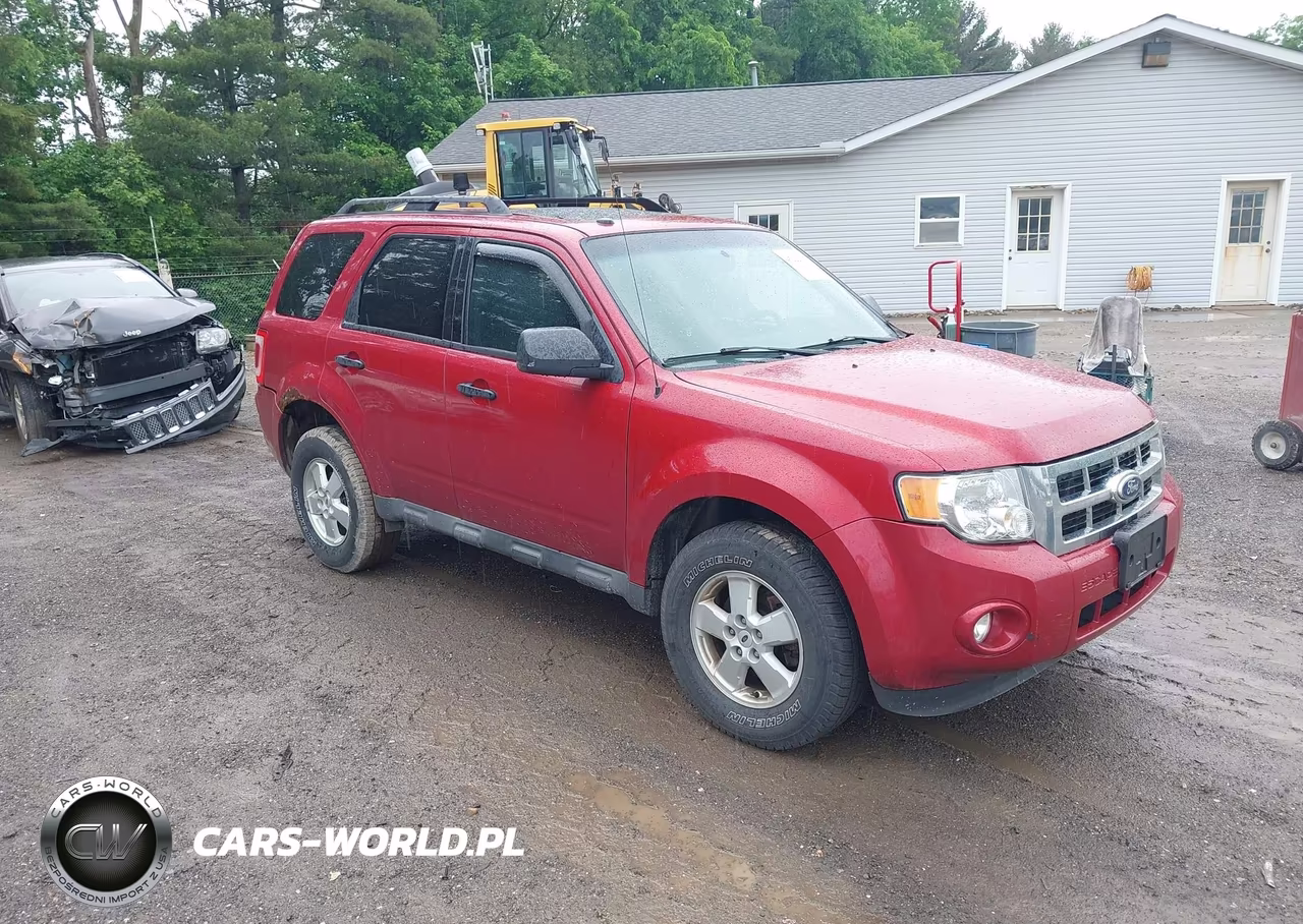 2010 Ford Escape Xlt