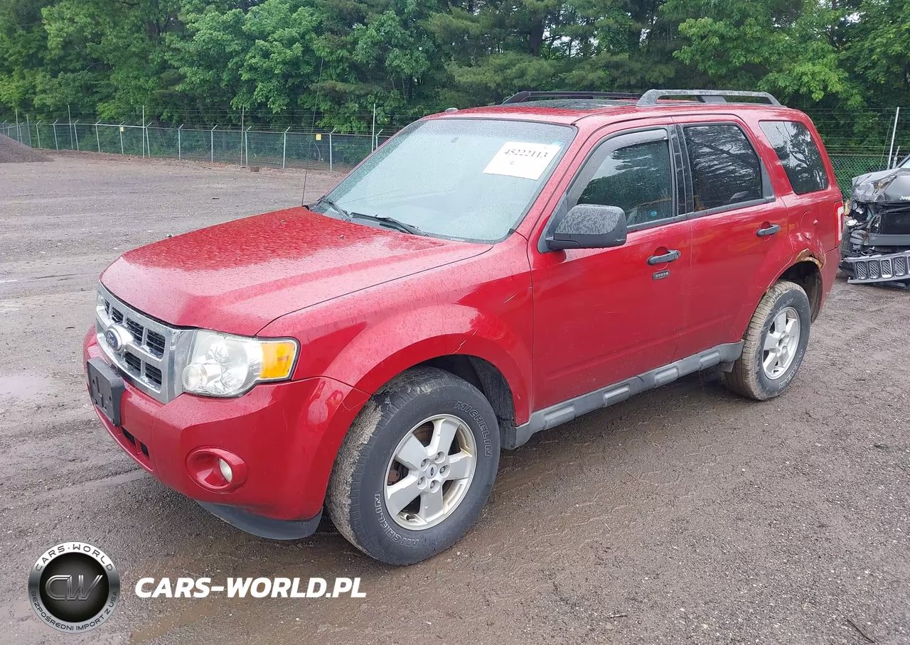 2010 Ford Escape Xlt VIN:1FMCU0D74AKA44352 - 2