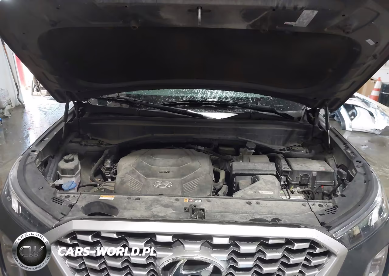2021 Hyundai Palisade Se VIN:KM8R1DHE3MU256090 - 10