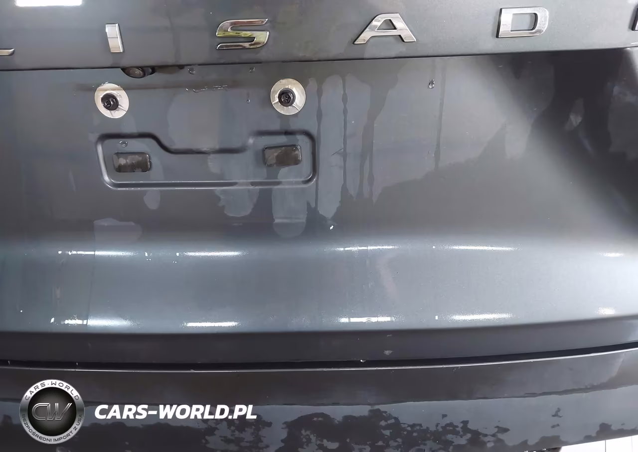 2021 Hyundai Palisade Se VIN:KM8R1DHE3MU256090 - 13