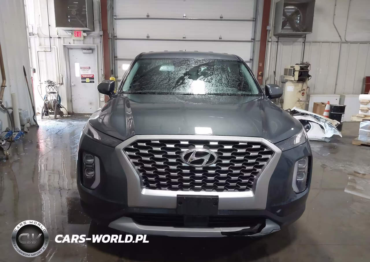 2021 Hyundai Palisade Se VIN:KM8R1DHE3MU256090 - 18