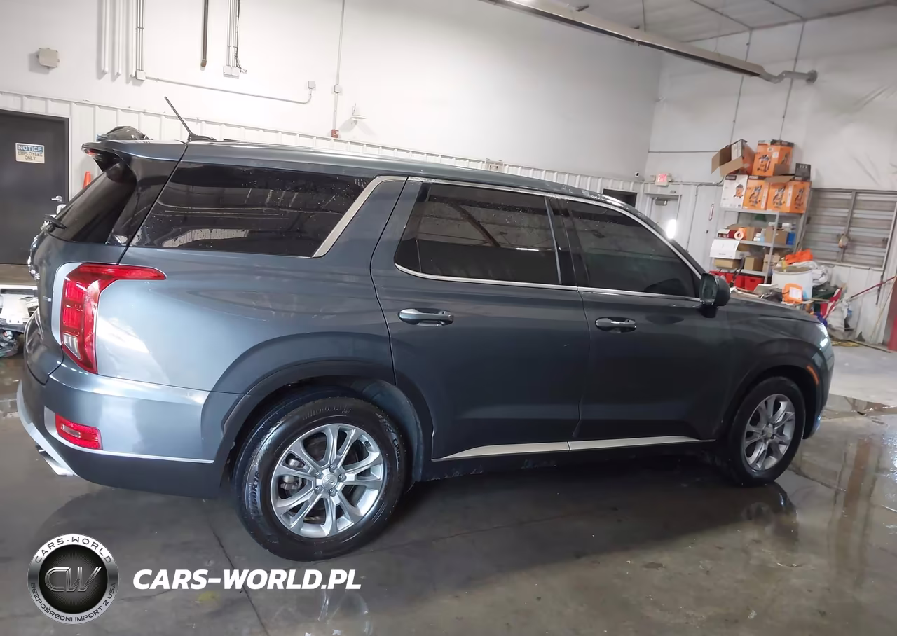 2021 Hyundai Palisade Se VIN:KM8R1DHE3MU256090 - 19