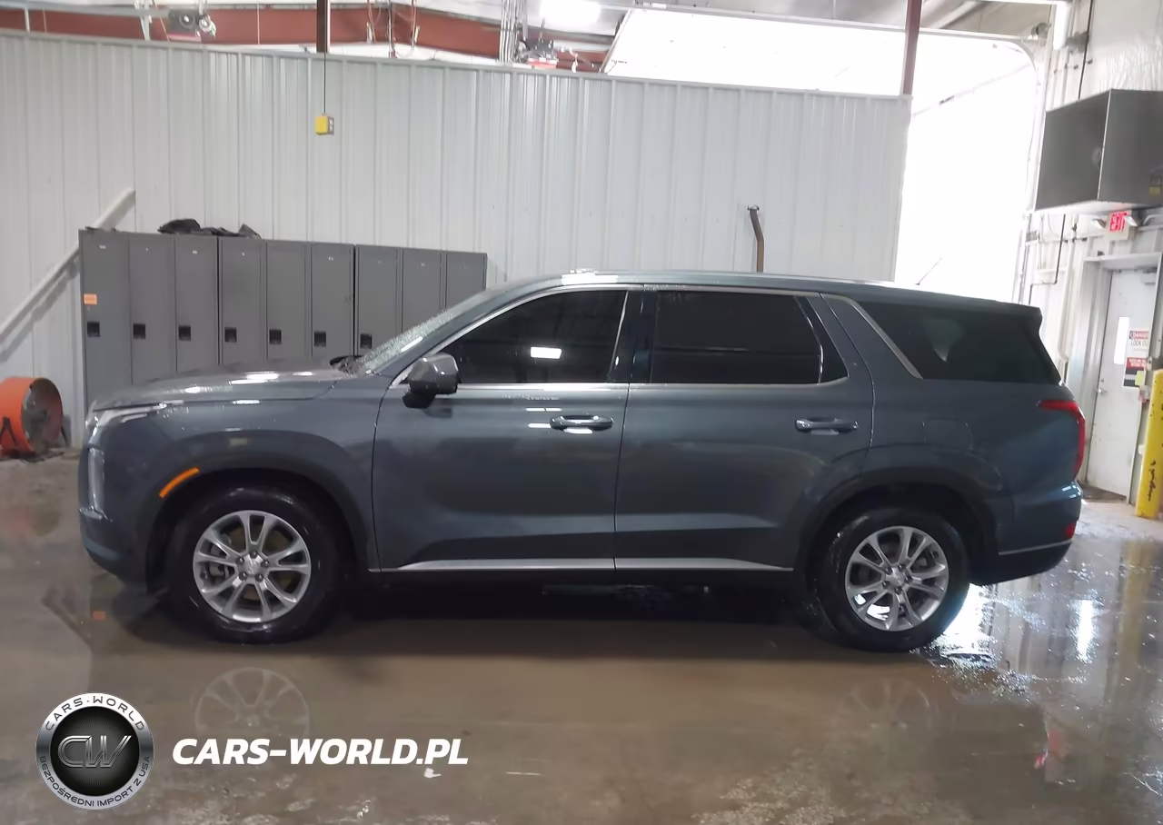 2021 Hyundai Palisade Se VIN:KM8R1DHE3MU256090 - 20
