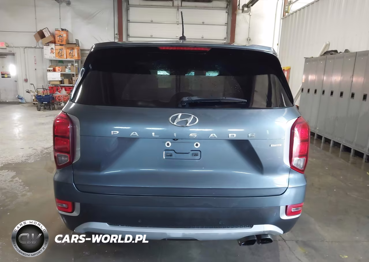 2021 Hyundai Palisade Se VIN:KM8R1DHE3MU256090 - 22