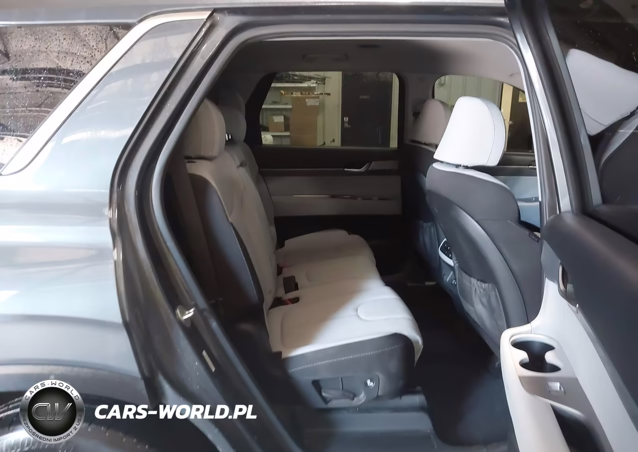 2021 Hyundai Palisade Se VIN:KM8R1DHE3MU256090 - 8