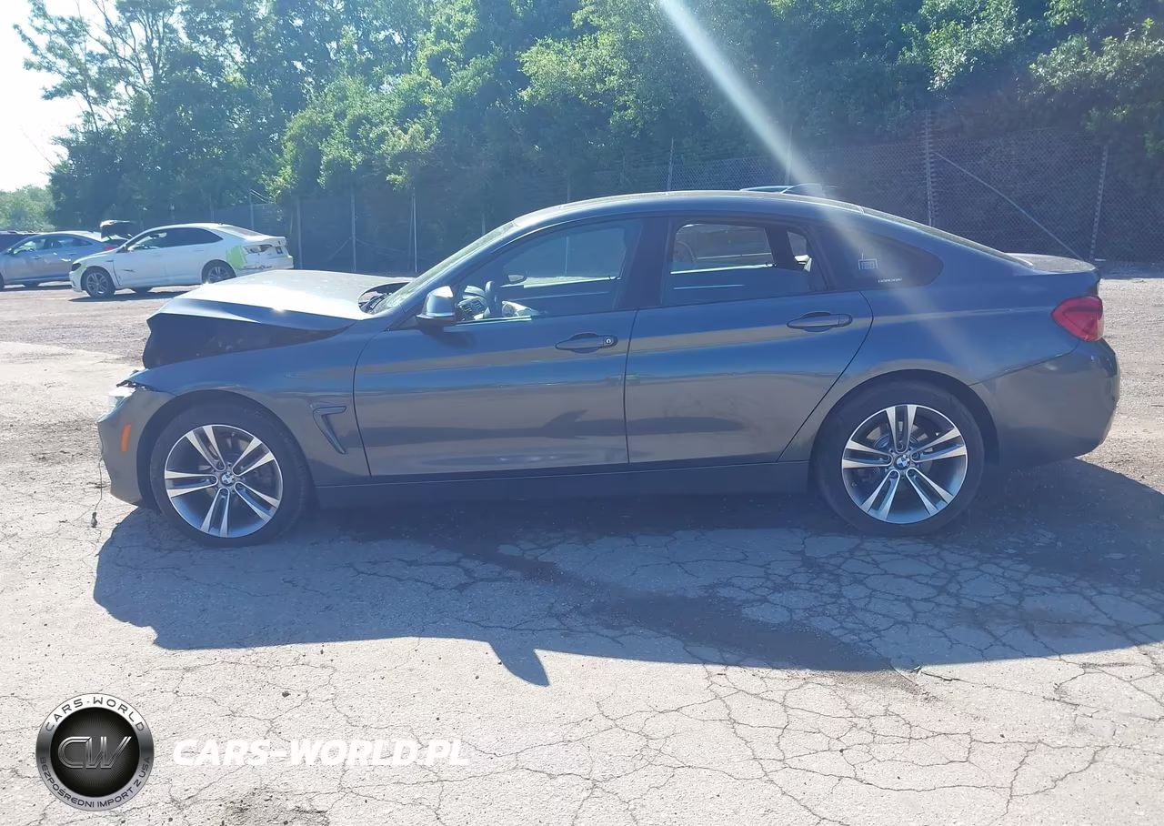 2018 BMW 430I Gran Coupe xDrive VIN:WBA4J3C53JBL03297 - 13