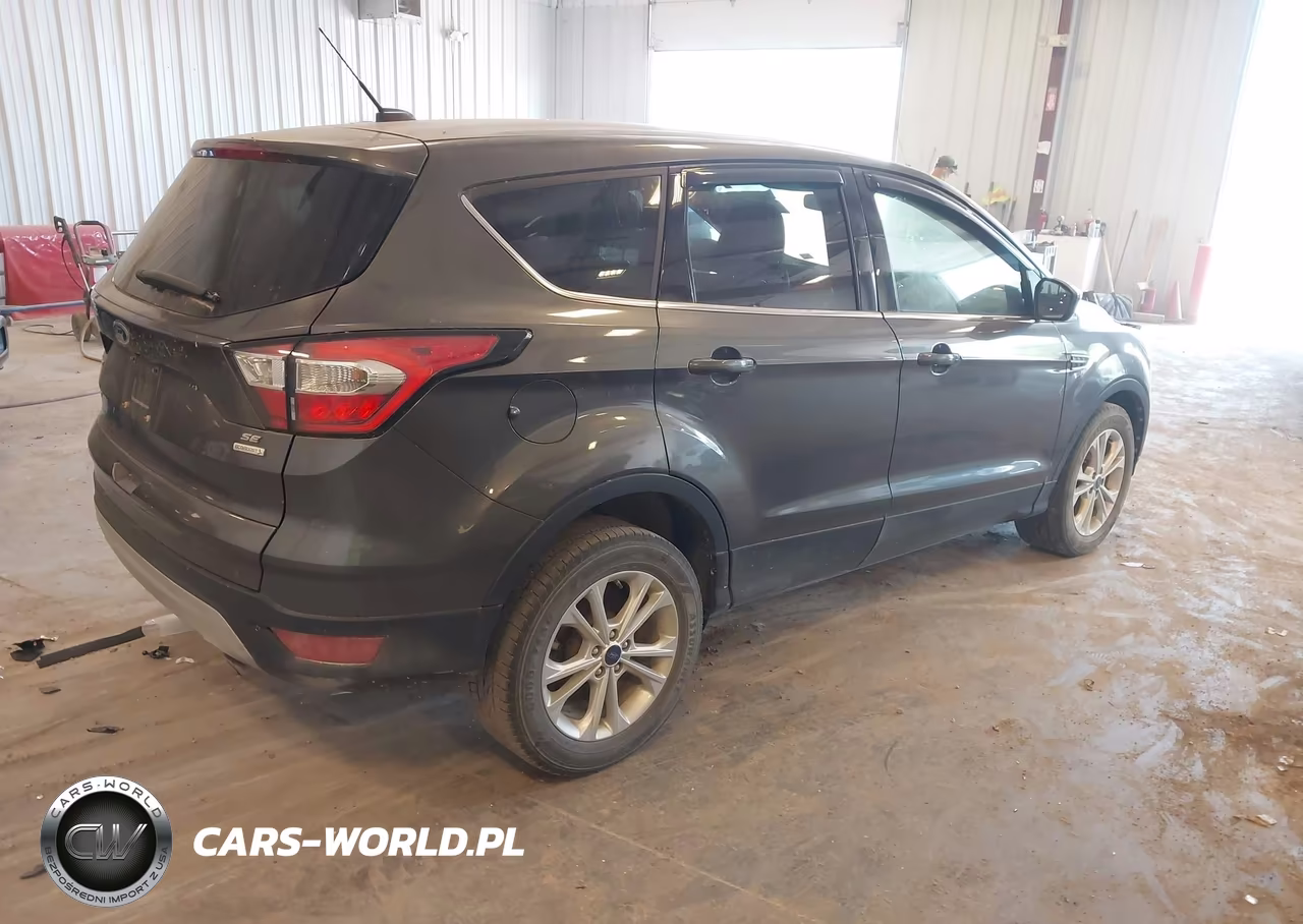 2017 Ford Escape Se VIN:1FMCU0GD6HUD27240 - 4