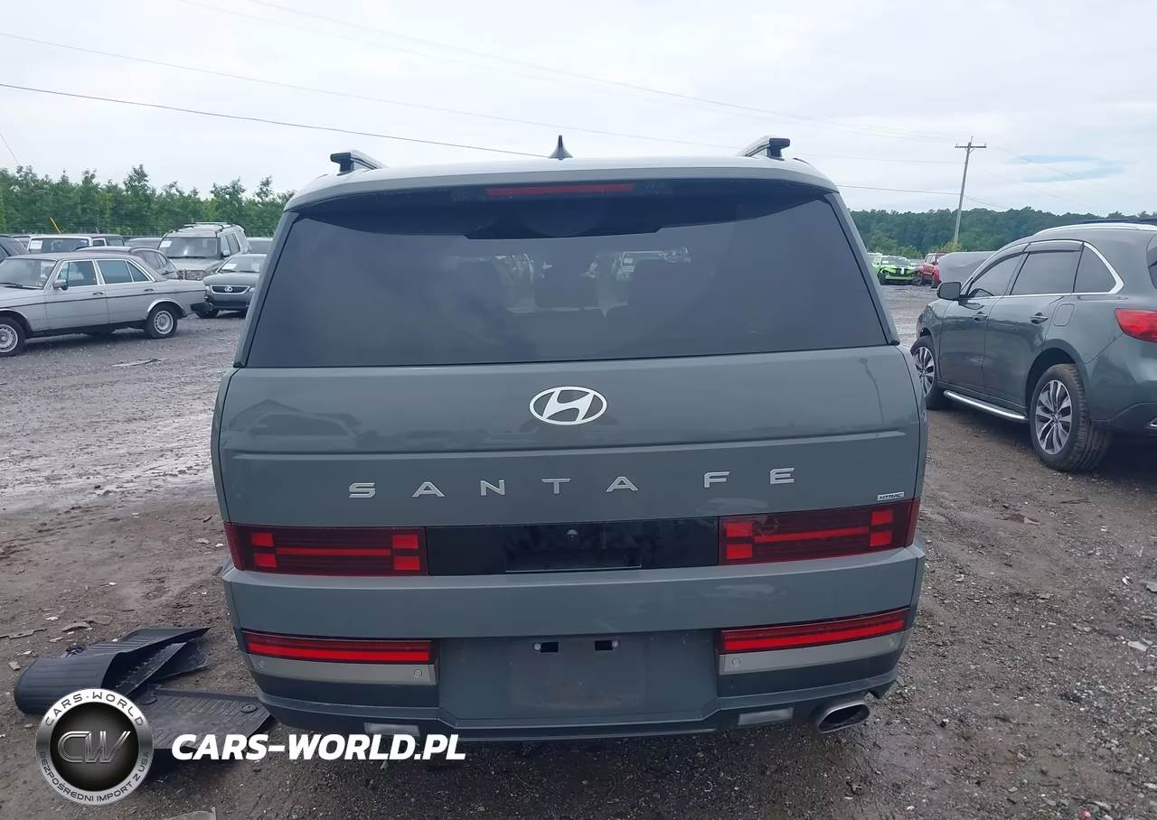 2024 Hyundai Santa Fe Limited VIN:5NMP4DGL9RH012087 - 17