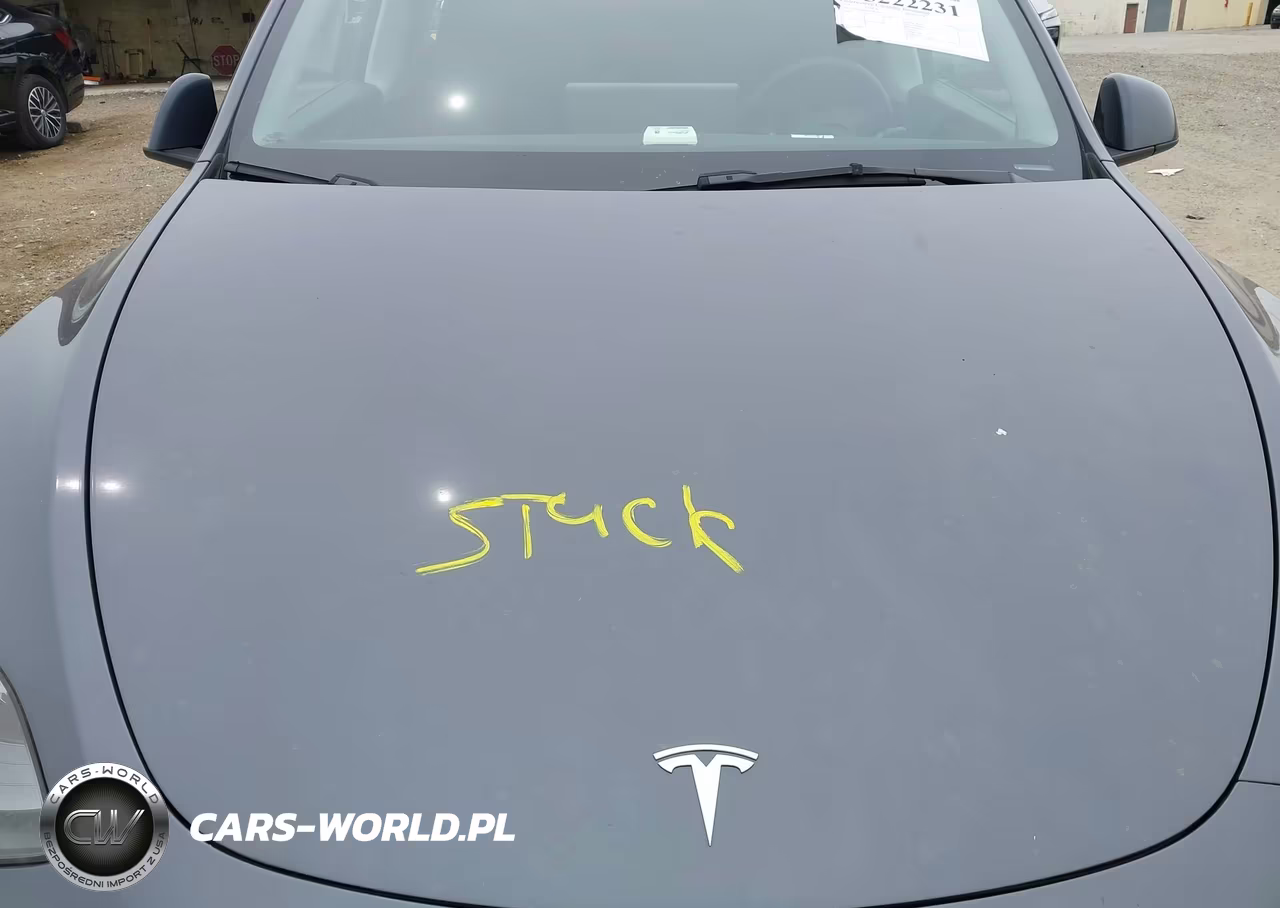 2023 Tesla Model Y VIN:7SAYGDEE8PF845638 - 10