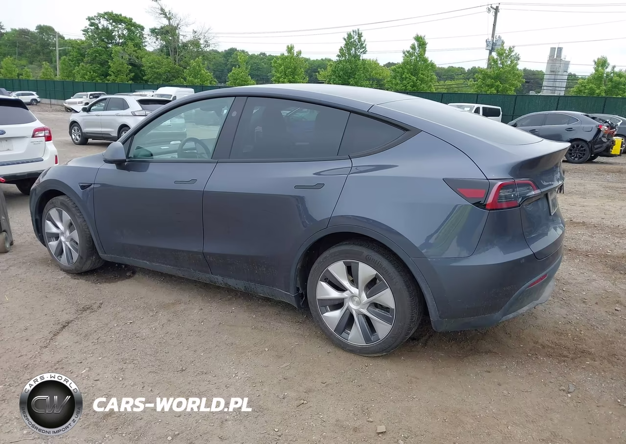 2023 Tesla Model Y VIN:7SAYGDEE8PF845638 - 3