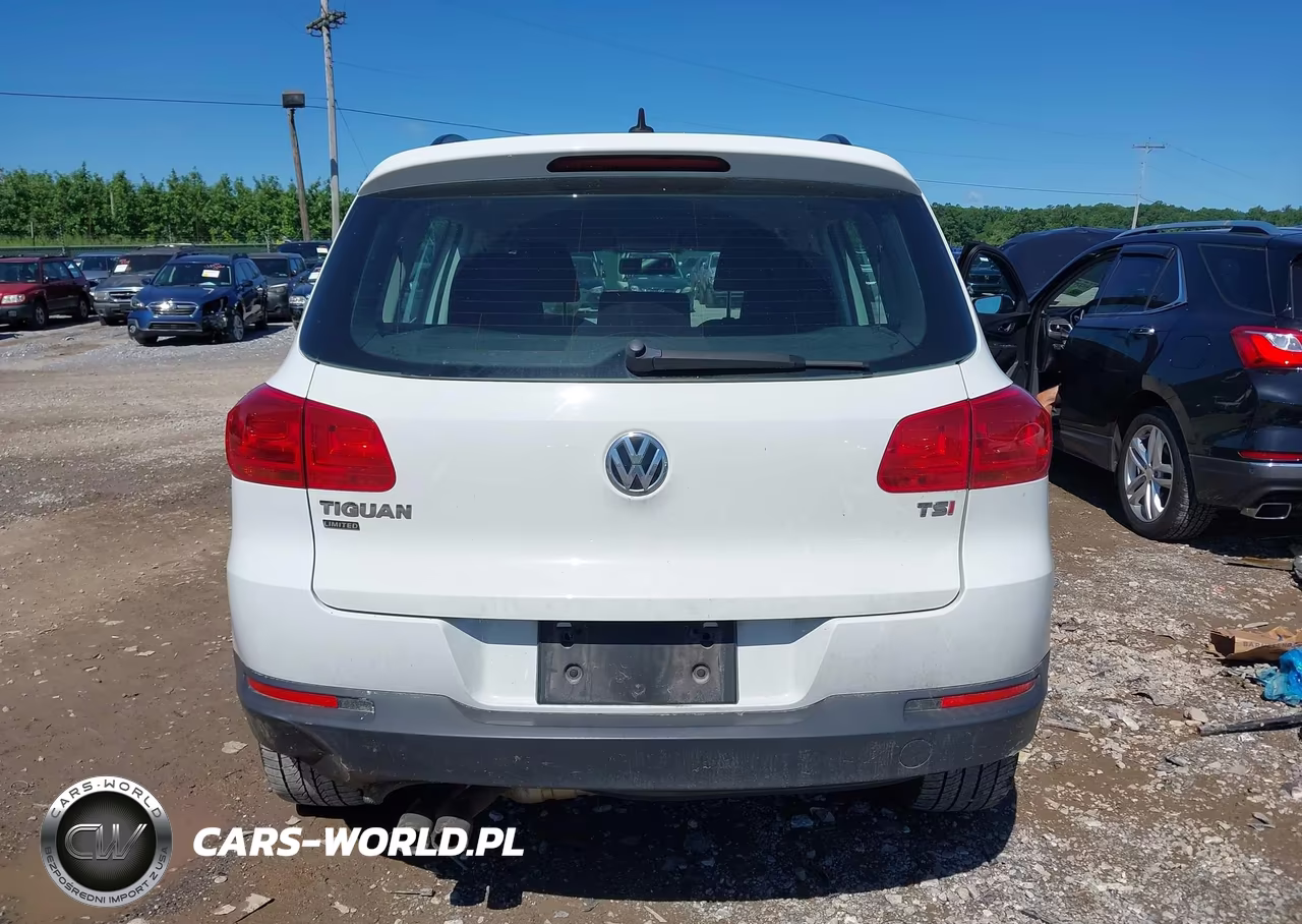 2017 Volkswagen Tiguan 2.0T-2.0T S VIN:WVGAV7AX4HK044962 - 16