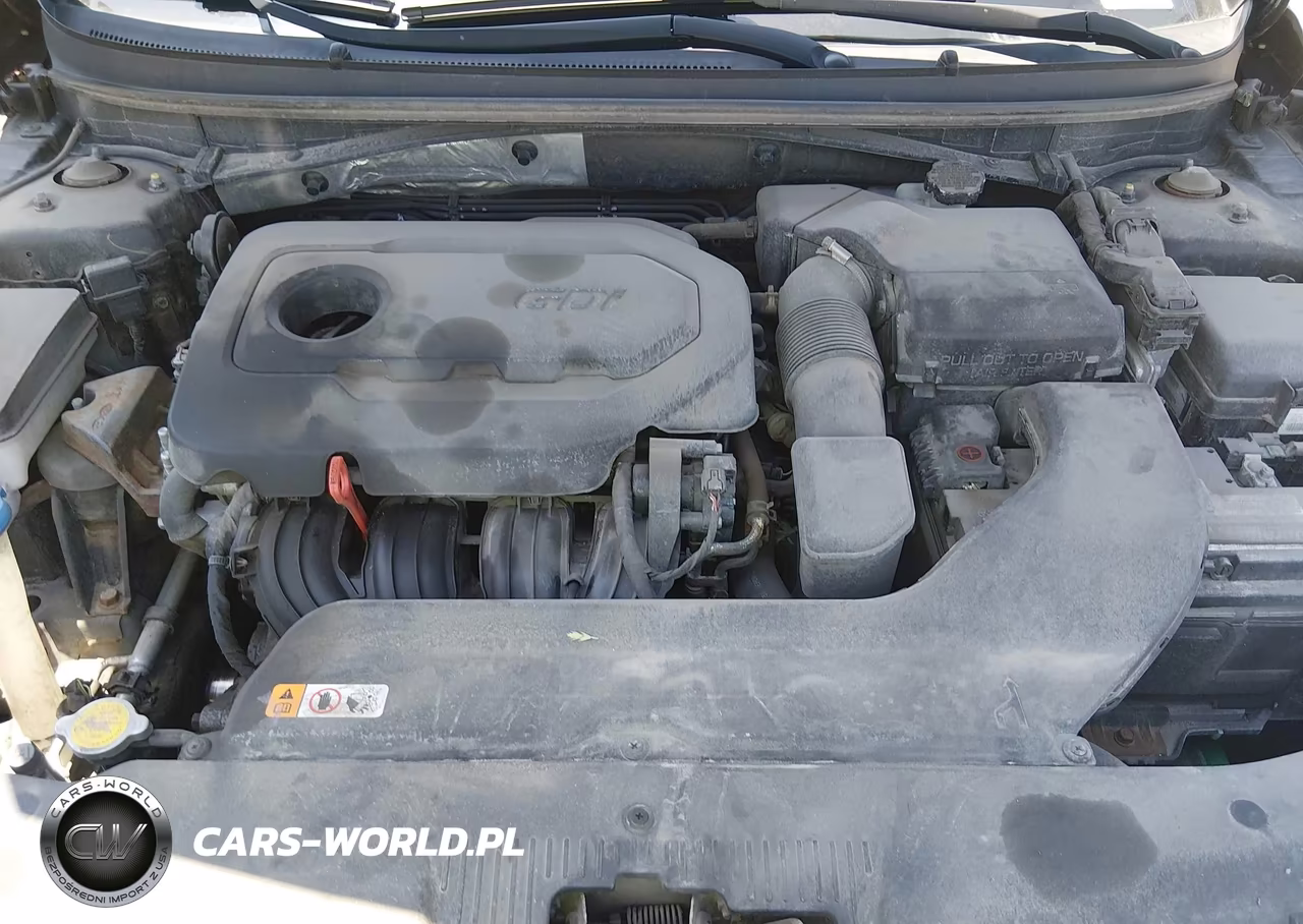2015 Hyundai Sonata Sport VIN:5NPE34AFXFH211371 - 10