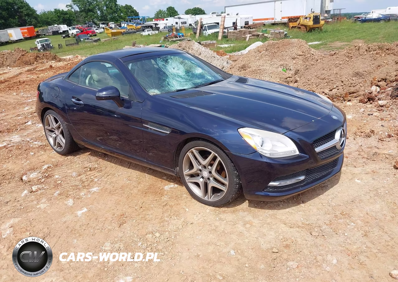 2013 Mercedes-Benz Slk 250