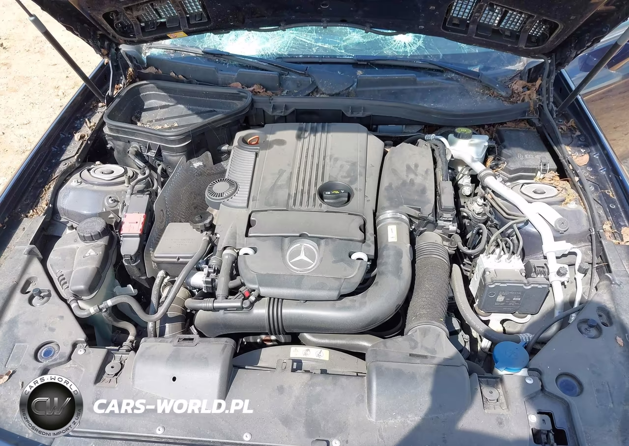2013 Mercedes-Benz Slk 250 VIN:WDDPK4HA0DF055652 - 10