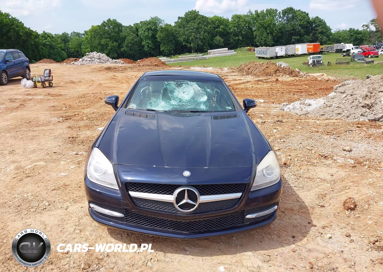 2013 Mercedes-Benz Slk 250 VIN:WDDPK4HA0DF055652 - 13