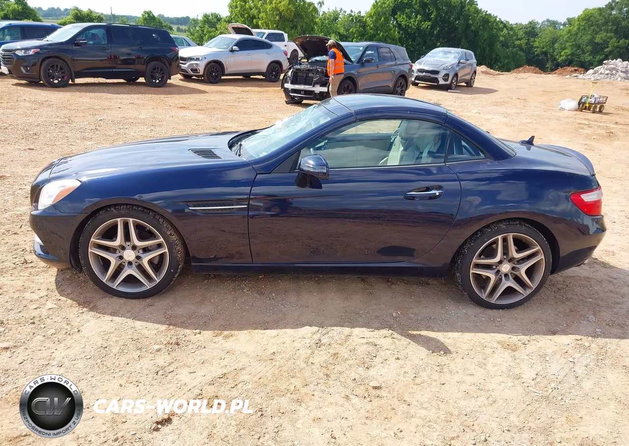 2013 Mercedes-Benz Slk 250 VIN:WDDPK4HA0DF055652 - 15