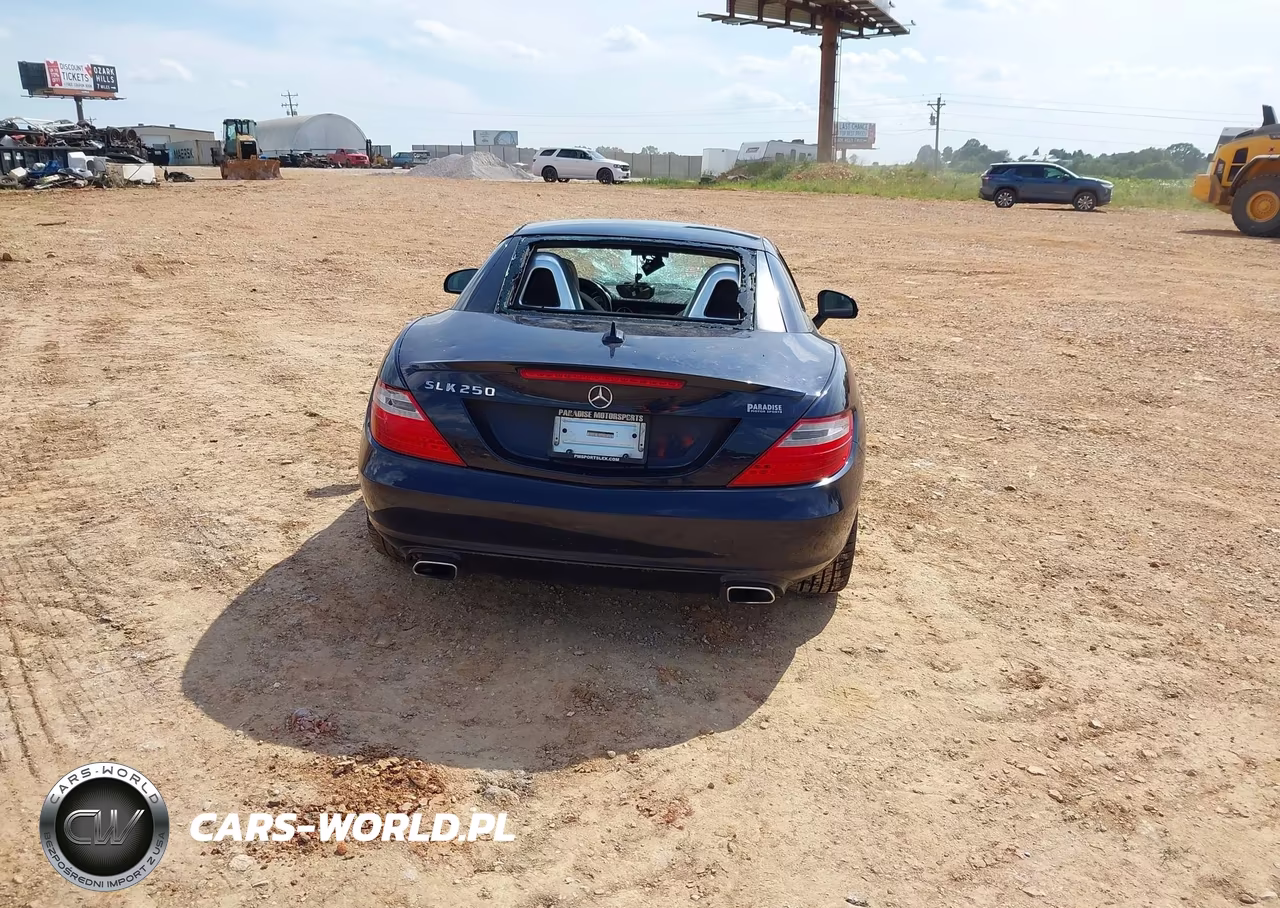 2013 Mercedes-Benz Slk 250 VIN:WDDPK4HA0DF055652 - 17