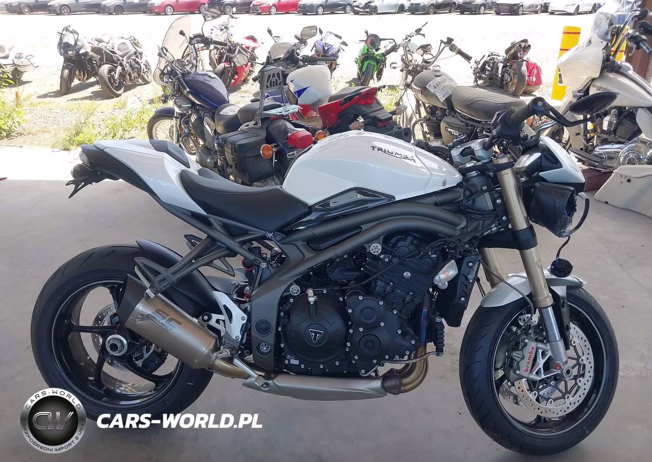2020 Triumph Motorcycle Speed Triple S VIN:SMTN52P44LJ979100 - 12