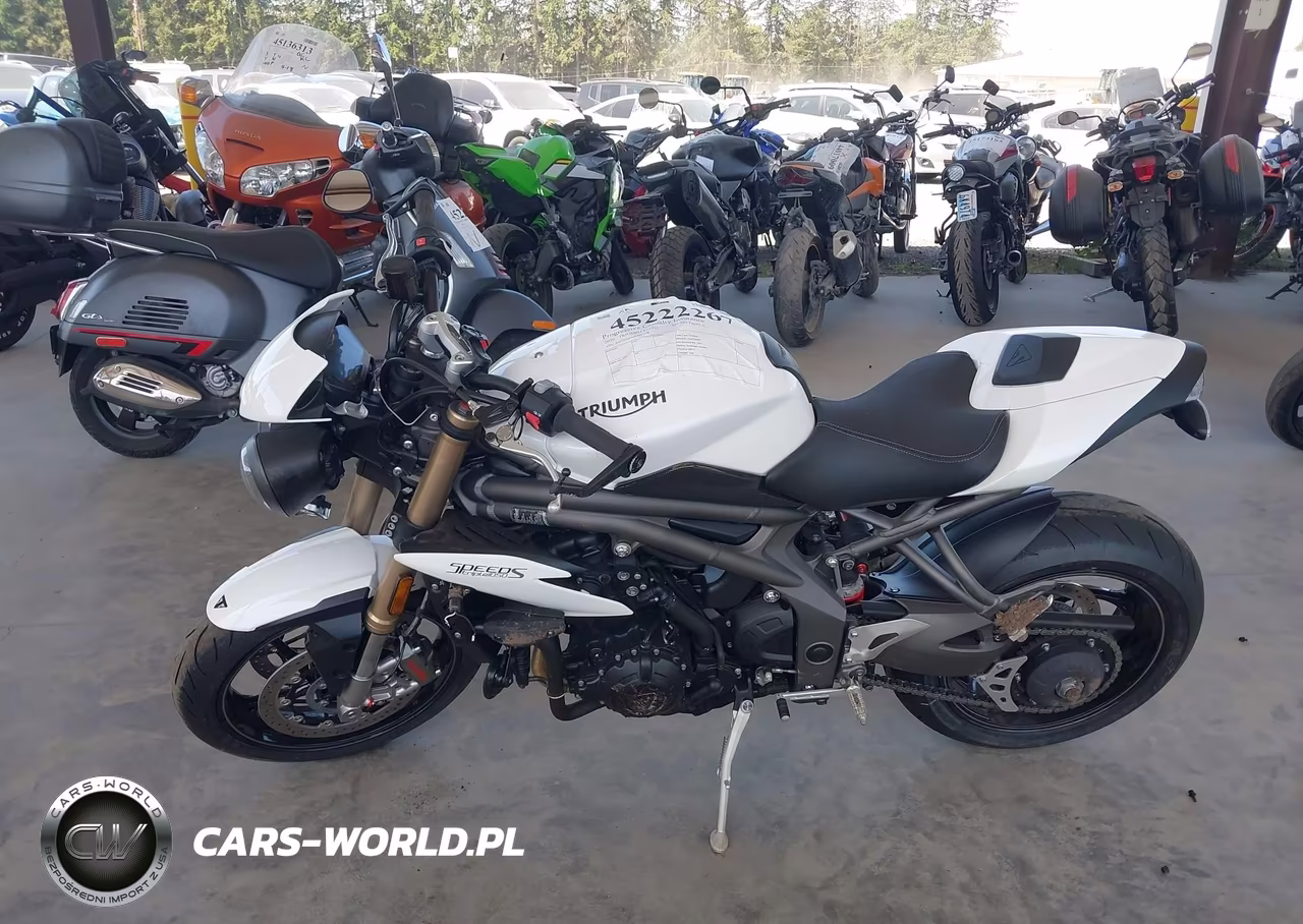 2020 Triumph Motorcycle Speed Triple S VIN:SMTN52P44LJ979100 - 13