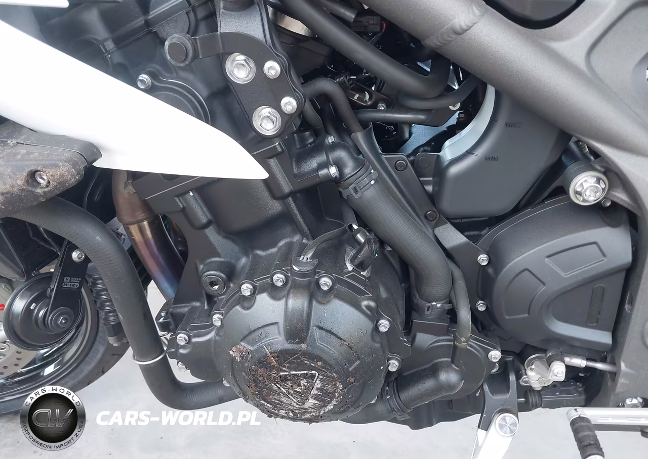 2020 Triumph Motorcycle Speed Triple S VIN:SMTN52P44LJ979100 - 9