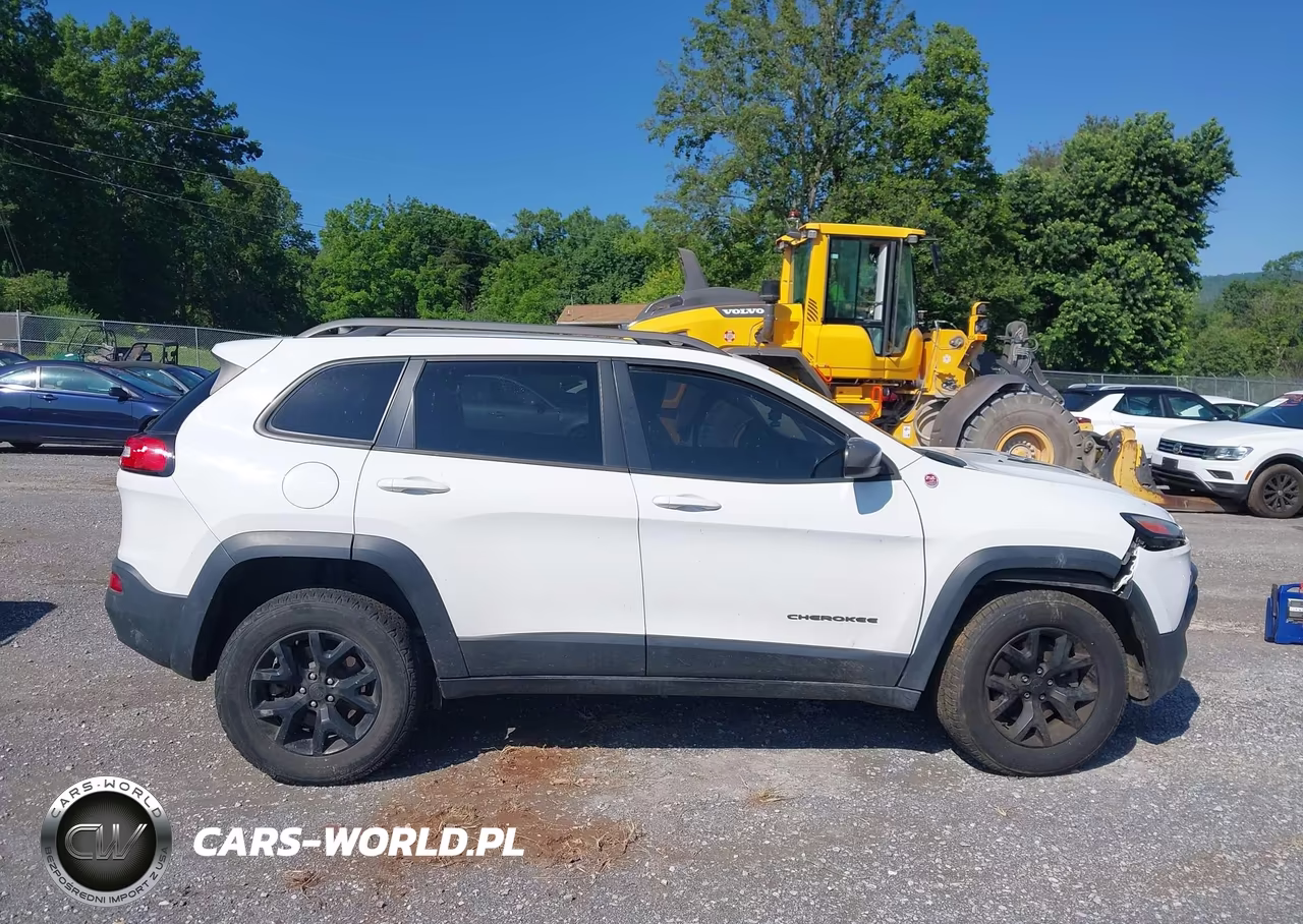 2016 Jeep Cherokee Trailhawk VIN:1C4PJMBS8GW145361 - 14