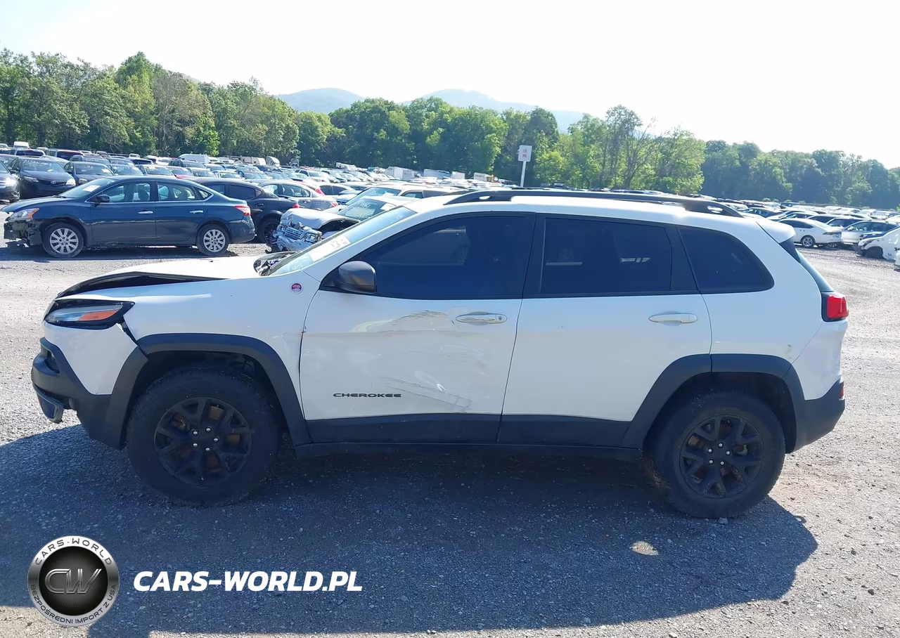 2016 Jeep Cherokee Trailhawk VIN:1C4PJMBS8GW145361 - 15