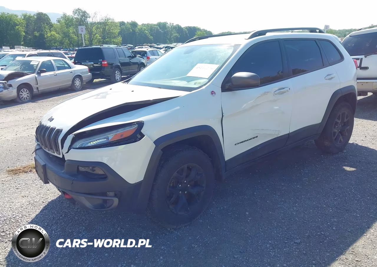 2016 Jeep Cherokee Trailhawk VIN:1C4PJMBS8GW145361 - 2