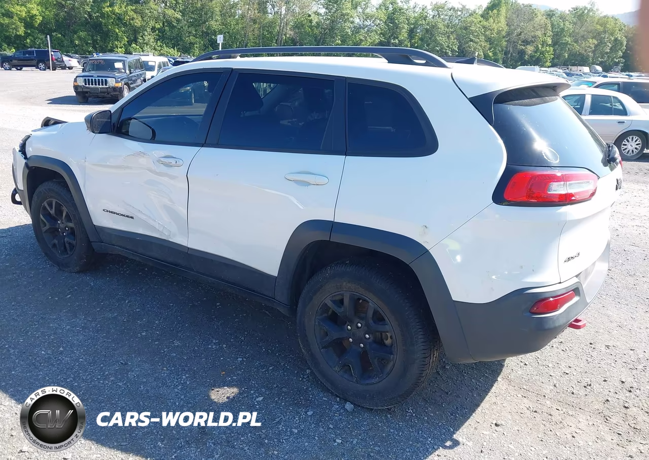 2016 Jeep Cherokee Trailhawk VIN:1C4PJMBS8GW145361 - 3